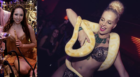 Slangendans voor weekend feest